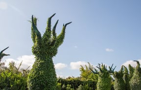 Surrealist gardens at Hamilton Gardens.