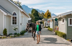 A woman and horse walking down a little country lane on a sunny day.