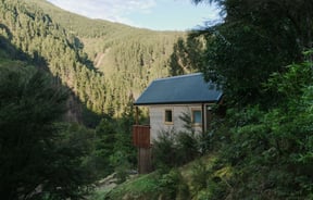 A view of Maitai Whare Iti cabins nestled within native bush in Nelson.
