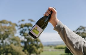 A hand holding a bottle of wine in the air on a sunny day.
