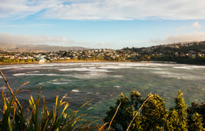 Titahi Bay waves lap against the shoreline.
