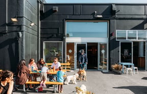 People and dogs hanging out outside a pub on a sunny day.