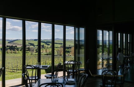 View out of window at Black Estate, North Canterbury towards vines.