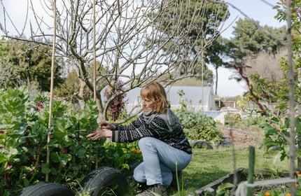 A woman crouching whilst tending to plants at New Brighton Community Gardens.