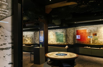 Wide angle of Te Ana Maori Rock Art Centre, Timaru.