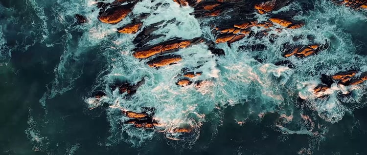 A video of the neat places to visit in Kaikoura.