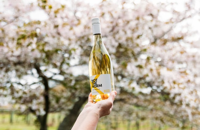 Bottle of wine being held up with a blossom tree in the background at Ōhau Wines.