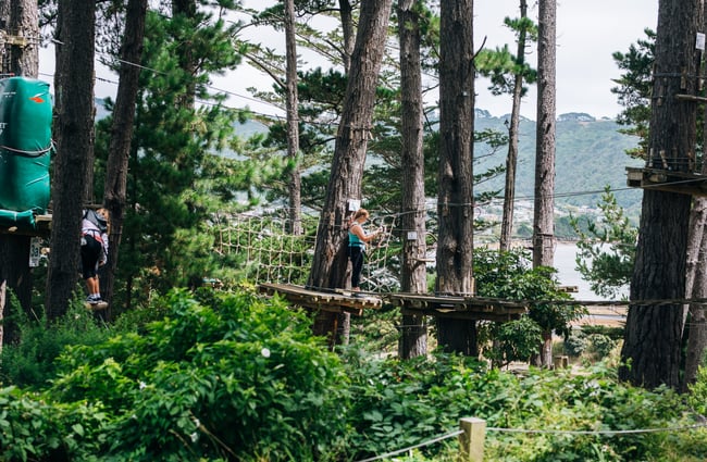 Person on ropes between trees.