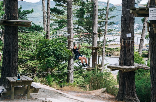 Ropes course in the trees.
