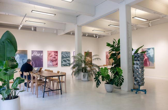 Gallery space and cafe seating area at Allpress Auckland Roastery