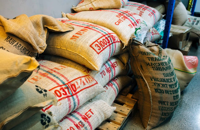 Close up of coffee beans.