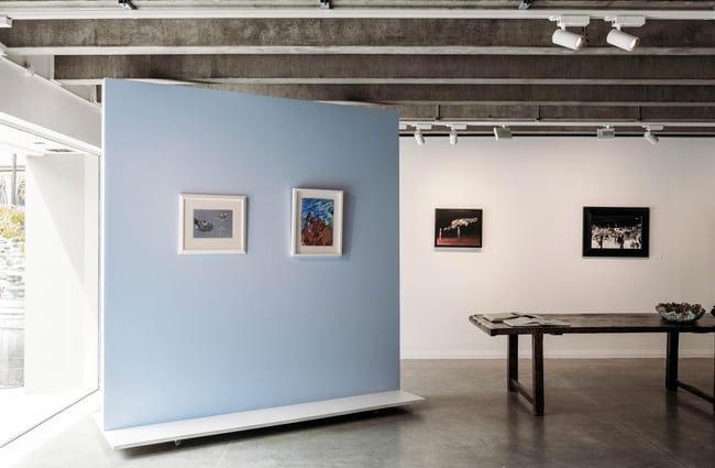 Exhibition wall at Astor Bristed Gallery in Arrowtown.
