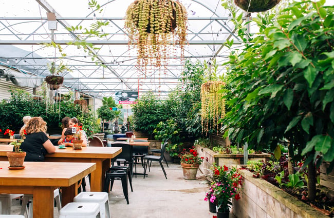Wooden tables and hanging pot plants.