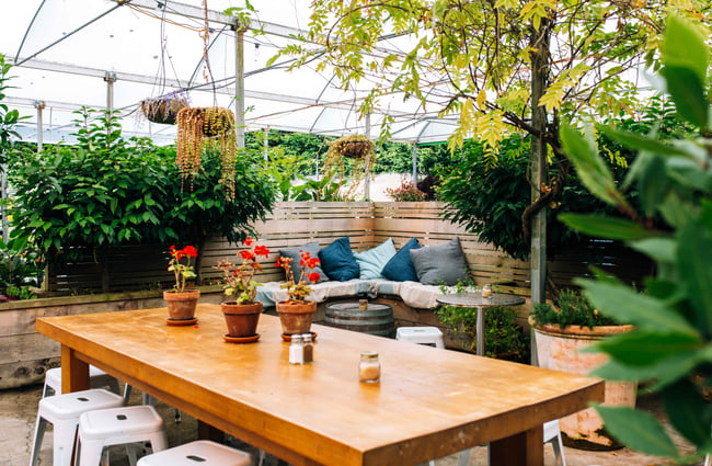 Large wooden table with greenery around.