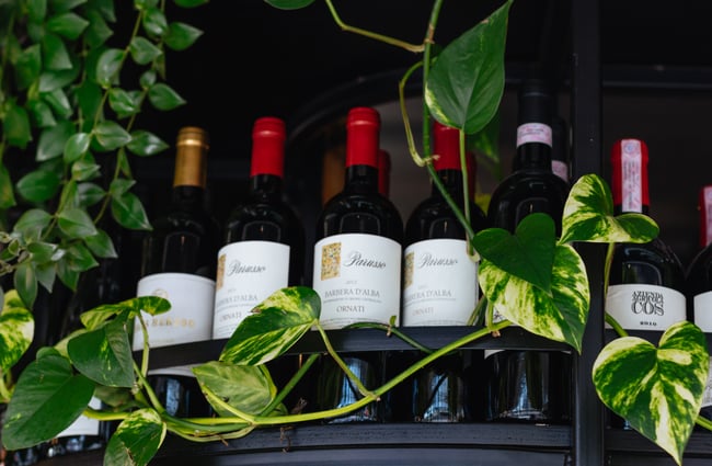 Wine on a shelf by plants.