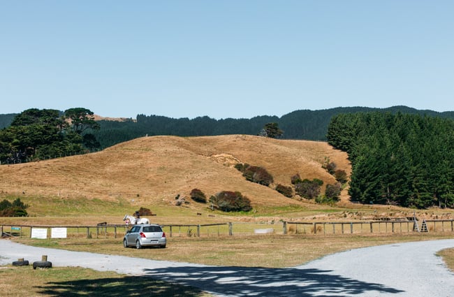 View of rolling grass hills.