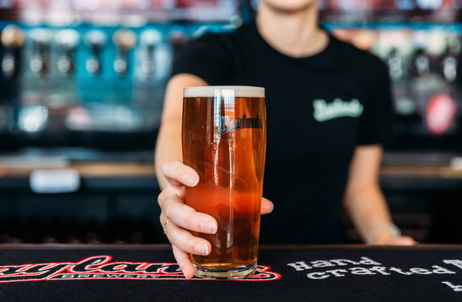 Close up of a freshly pour pint of craft beer
