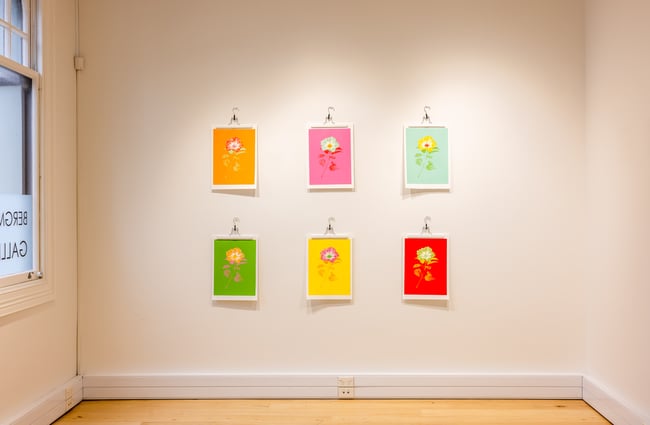 Six painted flowers on a wall.