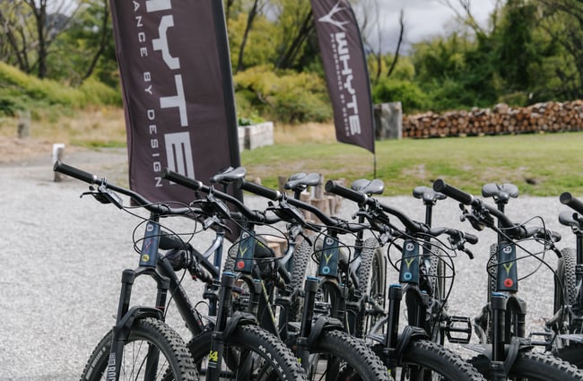 Close up of bicycles lined up in a row.