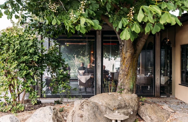Looking past trees outside Bistro Gentil into the covered and enclosed courtyard dining area.