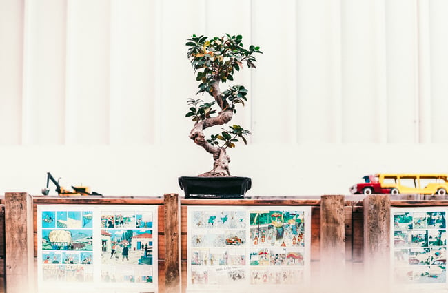 Plant on a shelf.