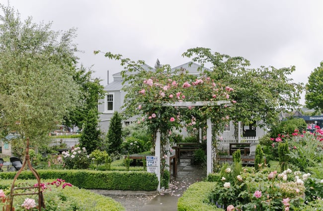The very green garden of Cafe Verde in Geraldine.
