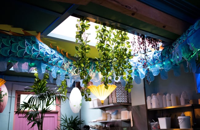Green plants hanging by a sun roof.
