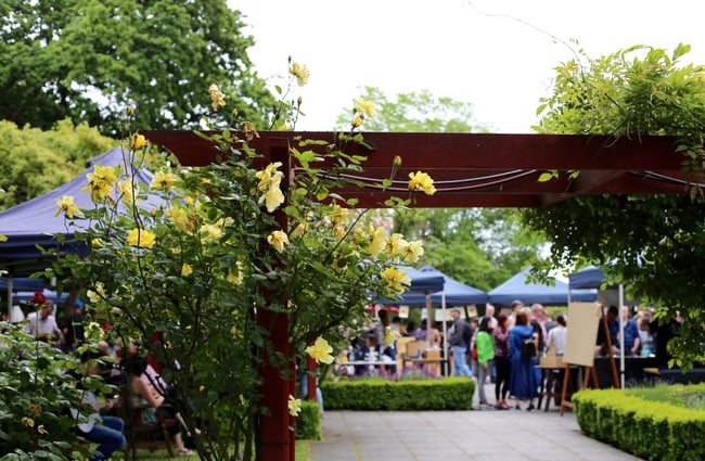 Flowers with the Christchurch Farmers Market in the background.