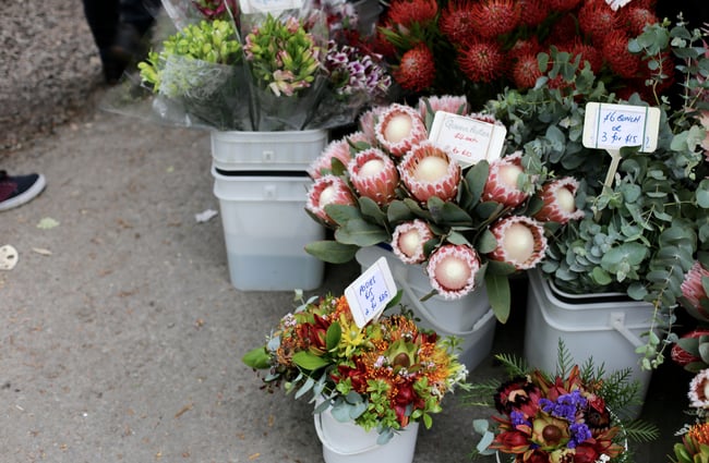 Flowers on the ground at the Christchurch Farmers Market.