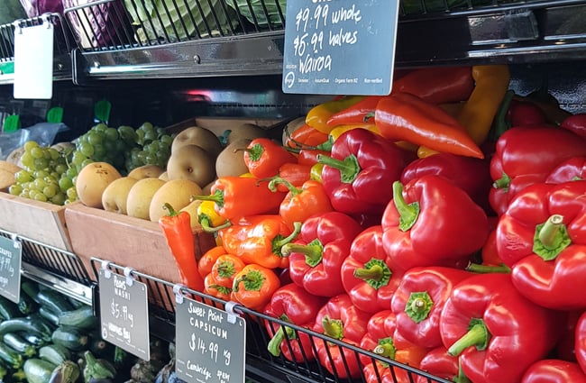 Fresh vegetables at Commonsense Organics.