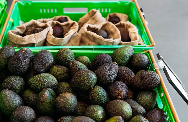 Avocados in crates at Commonsense on Tory Street in Wellington