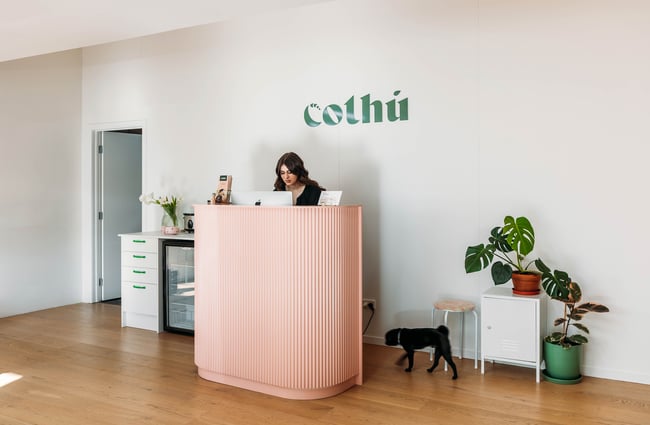 Owner standing behind the front counter at Cothu.
