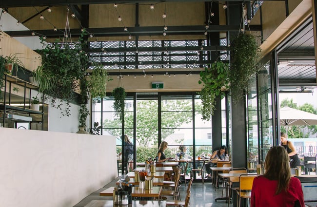 The cafe interior.