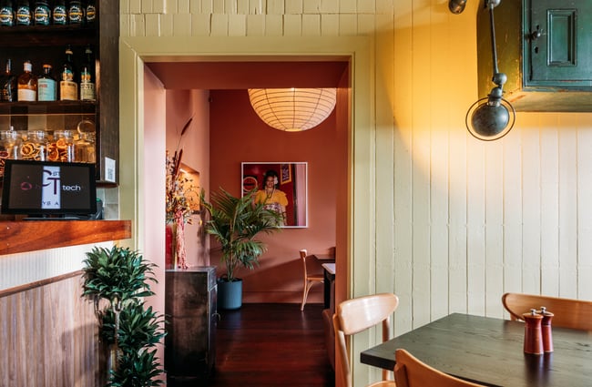 Colourful interior decor at Cuba St Tavern.