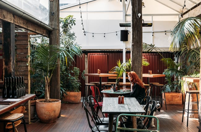 Courtyard at Cuba St Tavern.