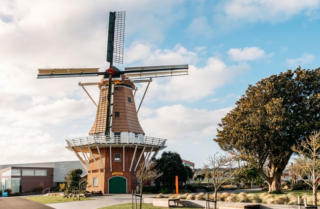 The windmill of De Molen next to a large tree.