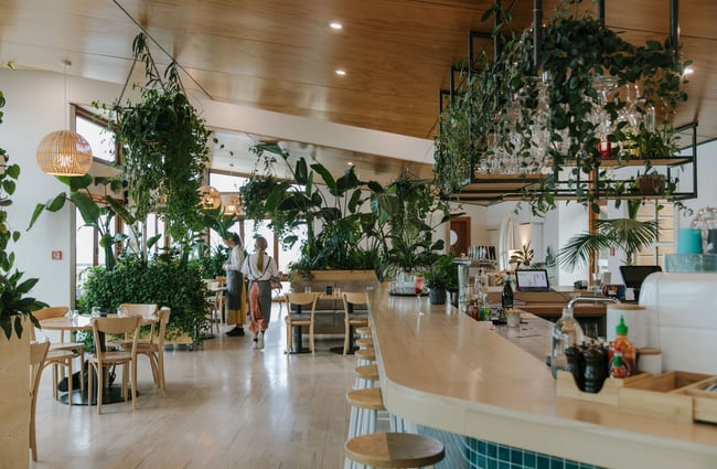 The wood interior of Del Mar with hanging plants from the celling.
