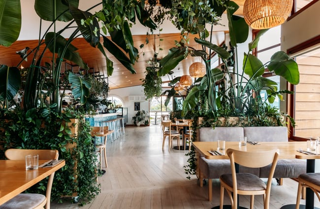 Dining space at Del Mar in Ōamaru overrun by huge plants