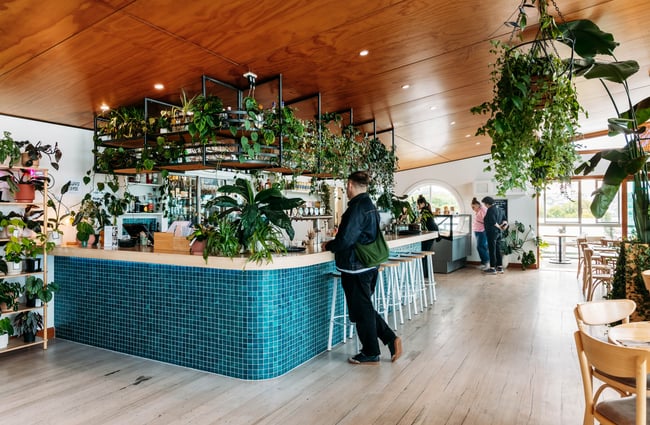 Man standing at blue-tiled bar surrounded by plants at Del Mar in Ōamaru