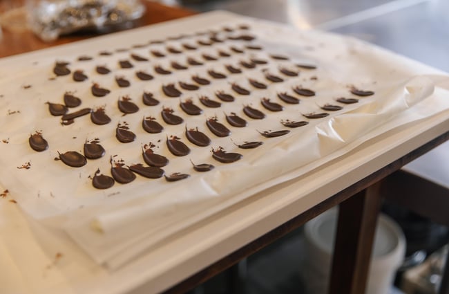 Chocolate shard decorations.