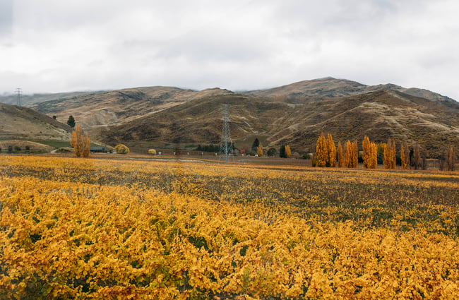 Autumnal landscape view from Dicey.