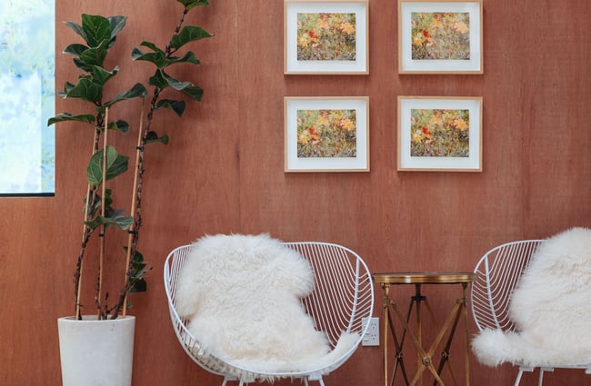 Two chairs and a plant.