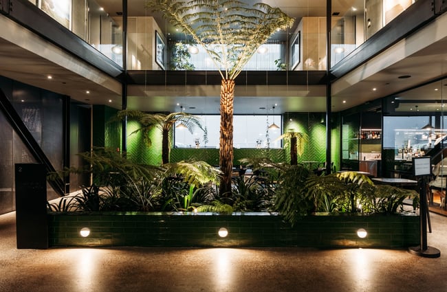 Greenery in the foyer outside Ebb-Kitchen.
