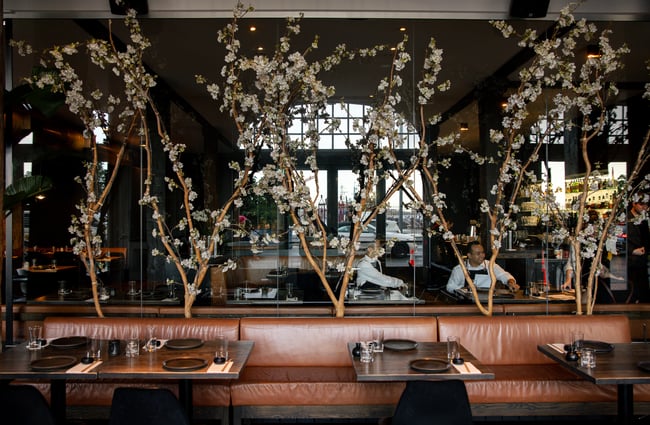 Blossom trees inside a restaurant.