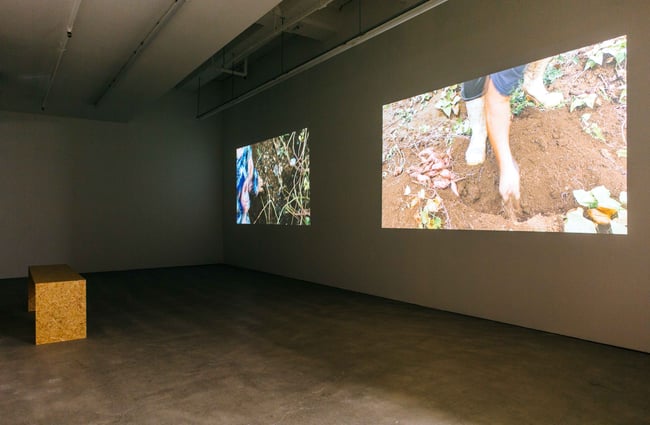 Screening of a work at Enjoy.