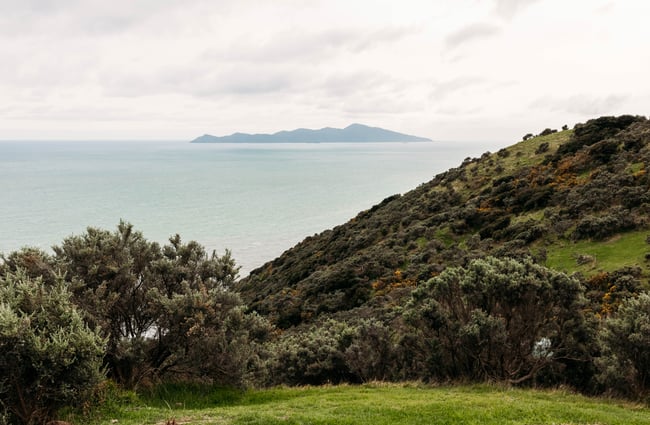 A view of a bay in Porirua.