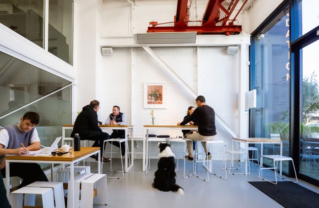 Customers dining at tables inside a brightly lit cafe.