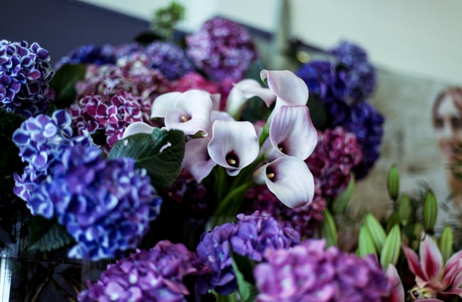 Close up of purple flowers.