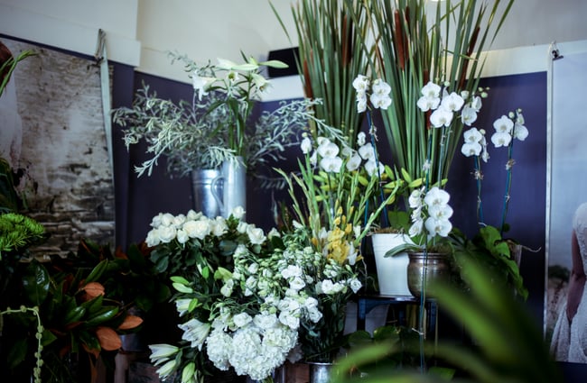 White and green flowers.