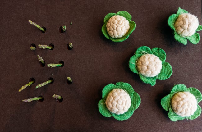 A cauliflower and asparagus work of art.